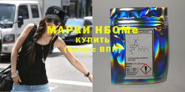 индика Краснослободск