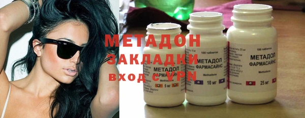 крисы Корсаков