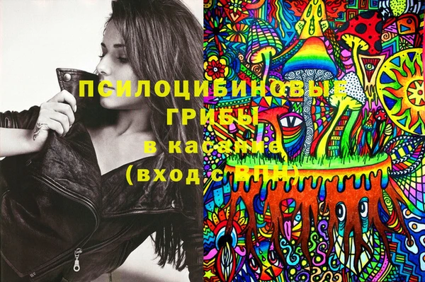 сатива Краснотурьинск