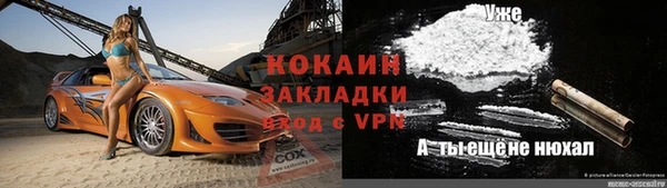 индика Краснослободск