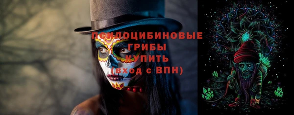сатива Краснотурьинск
