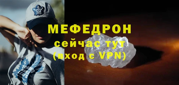 индика Краснослободск