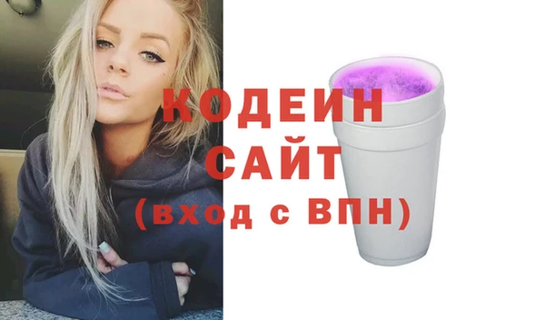 индика Краснослободск