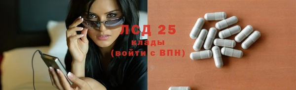 крисы Корсаков