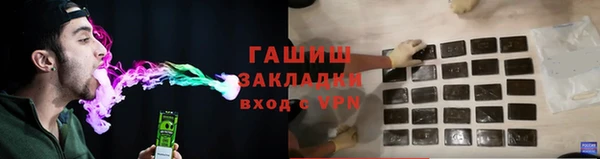 крисы Корсаков