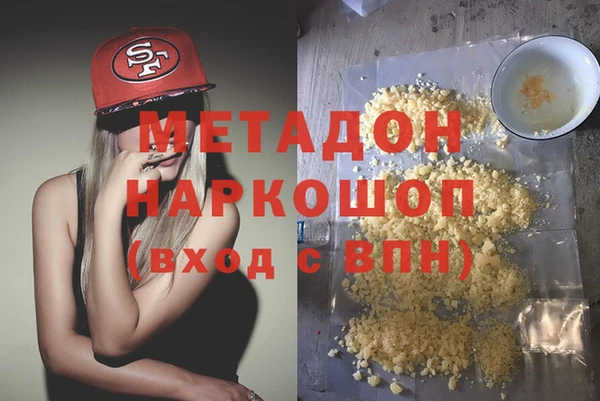 крисы Корсаков