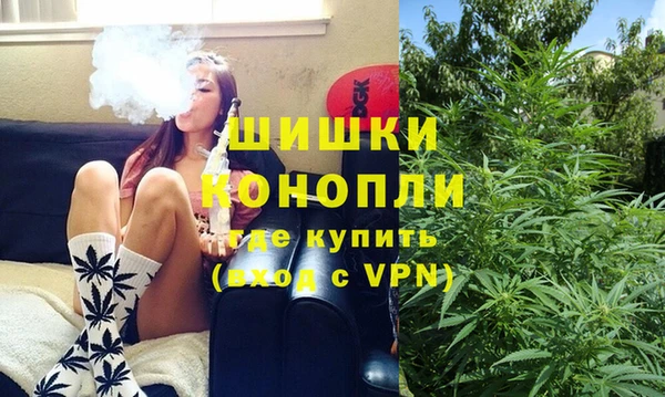 индика Краснослободск