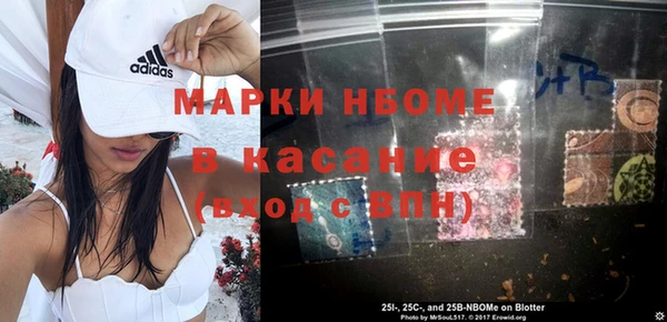 индика Краснослободск