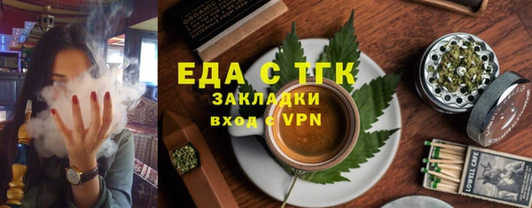 индика Краснослободск