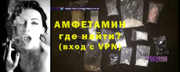 индика Краснослободск