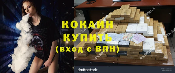 индика Краснослободск