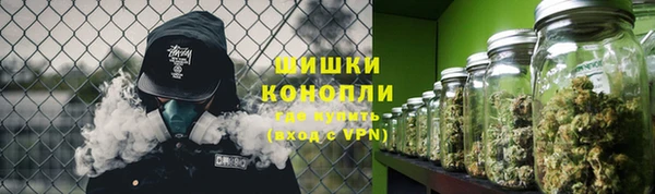 индика Краснослободск