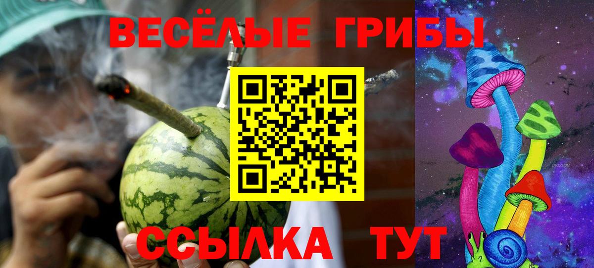 Галлюциногенные грибы MAGIC MUSHROOMS  Галлюциногенные грибы прущие грибы  дарнет шоп  Вход с VPN  Кинешма 